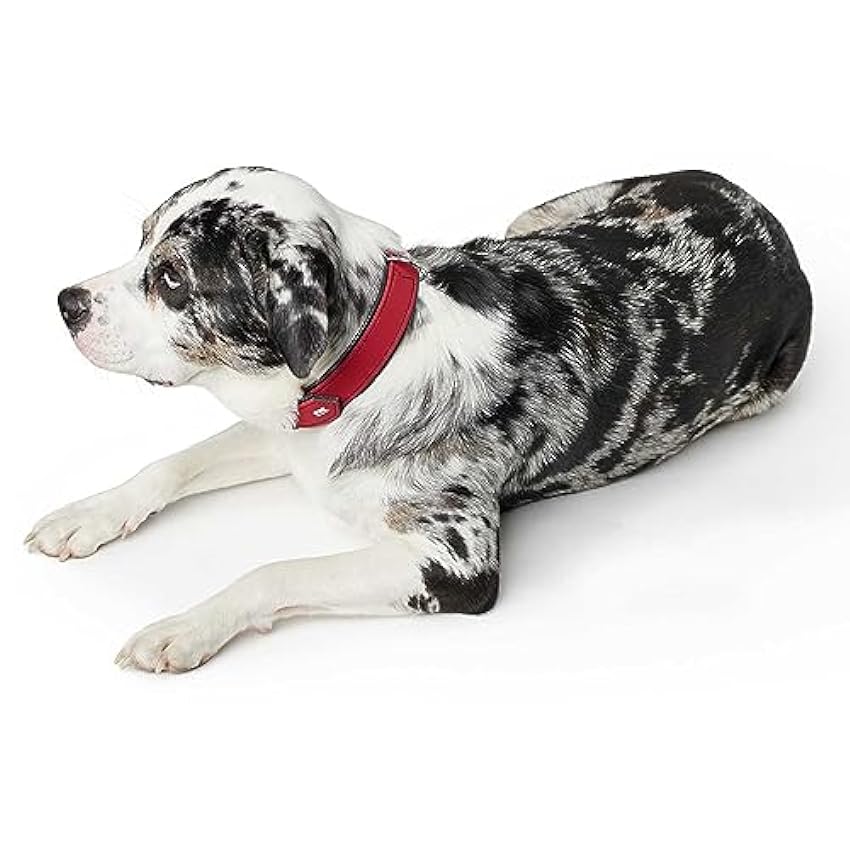Hunter - Collar Softie para perros 32-40cm color rojo nStZpExe